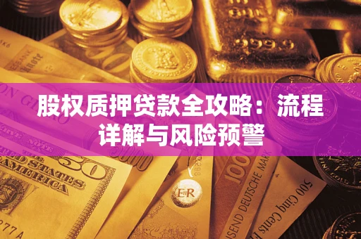 北京股权质押贷款全攻略：流程详解与风险预警
