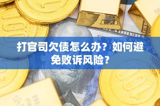 北京打官司欠债怎么办？如何避免败诉风险？