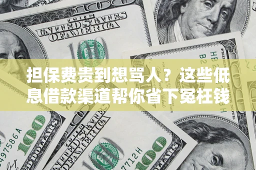 北京担保费贵到想骂人？这些低息借款渠道帮你省下冤枉钱